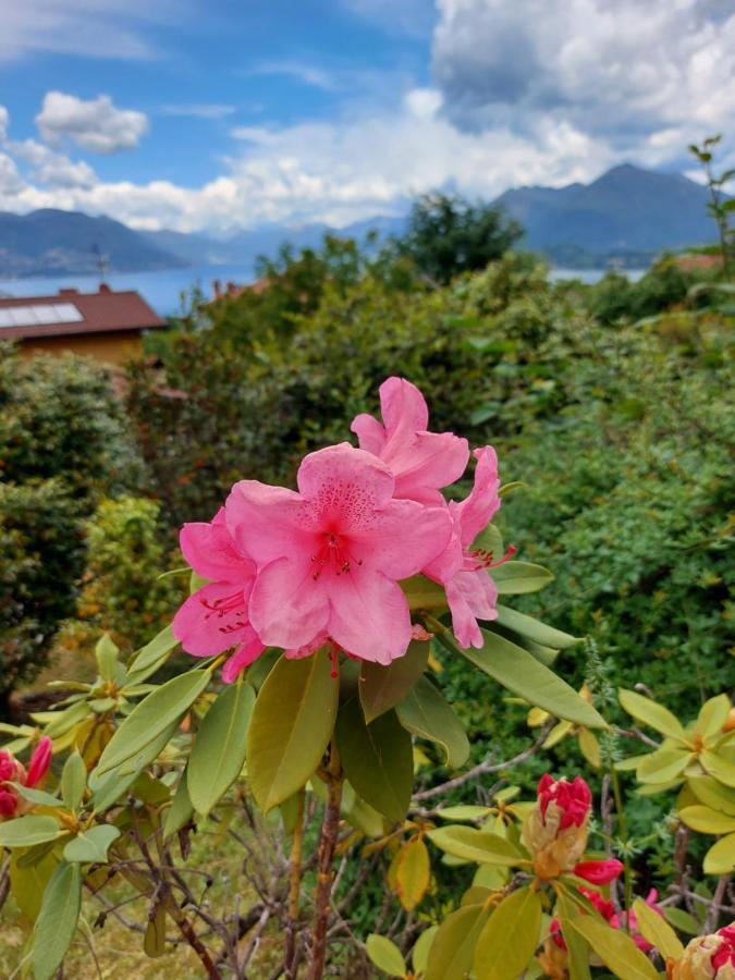 La Casa Delle Camelie Villa Stresa Bagian luar foto